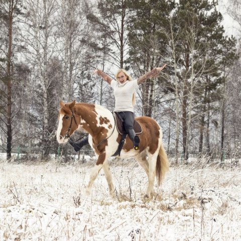 Чудо-новый год с лошадками