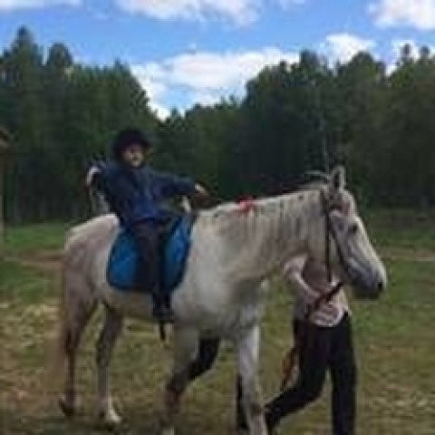 Иппотерапия "Сибирский конный двор"